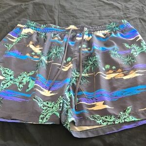 Hurley Black and Teal Swim Shorts